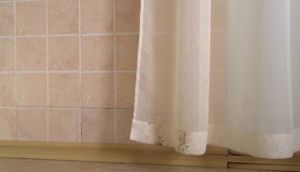 Best Indoor Air Quality Assessment  in Granby, CO