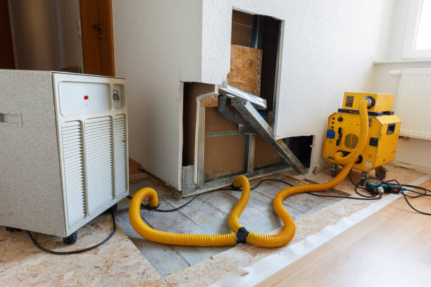 Best Mold-Related Health Consultation  in Granby, CO